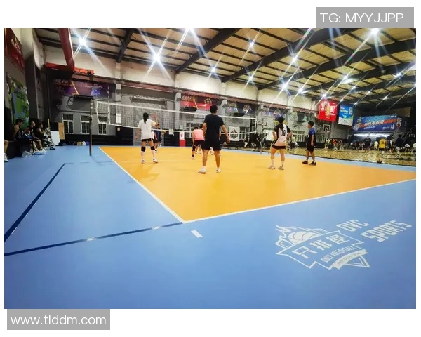 杭州排球队阵地战分析：优劣势及未来发展方向探讨