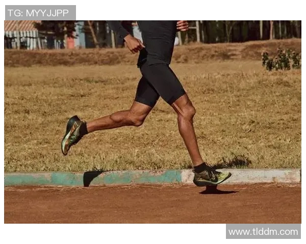 广州攀岩队节奏表现数据分析揭示训练与比赛的关键影响因素