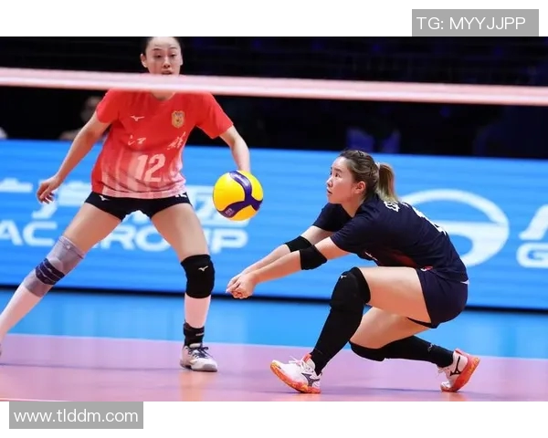 杭州排球队速度提升之路探讨与战术分析