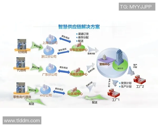 构建智慧物流生态系统推动全球供应链高效协同发展