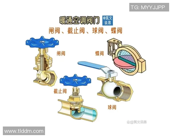 水管阀门：关键设施的控制与管理